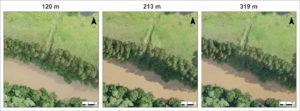 Comparativo de diferentes alturas de voo do Mavic 2 Pro: plantação de eucalipto. Fonte: Aerokiriri, 2021.