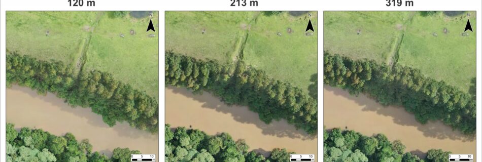 Comparativo de diferentes alturas de voo do Mavic 2 Pro: plantação de eucalipto. Fonte: Aerokiriri, 2021.